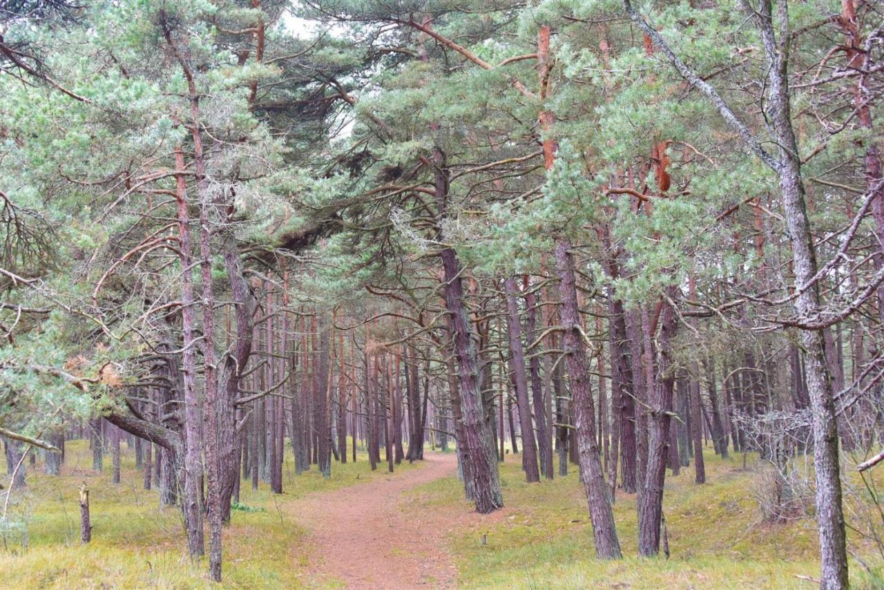 Vila Dia Palanga Dış mekan fotoğraf